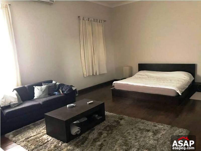 Apartment with Nice Balcony for Rent in Zamalek Apartment with Nice Balcony for Rent in Zamalek