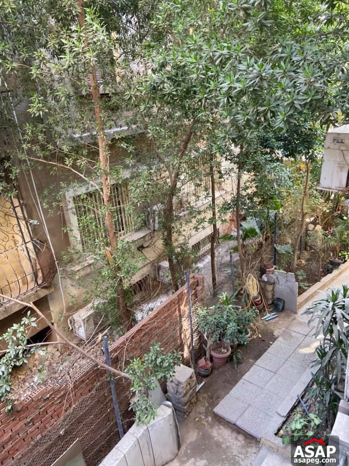 Apartment for Rent in Zamalek Apartment for Rent in Zamalek