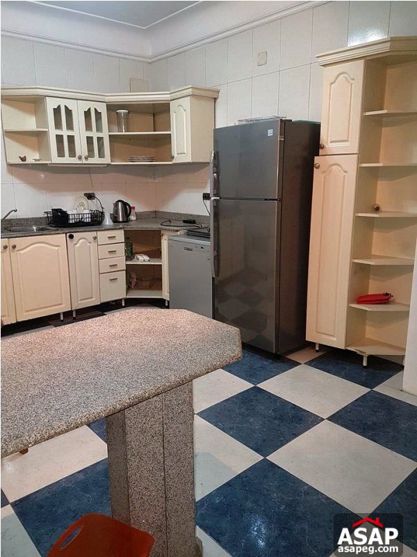 Apartment for Sale in Zamalek Apartment for Sale in Zamalek