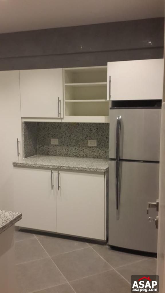 Furnished Flat for Rent in Zamalek Furnished Flat for Rent in Zamalek