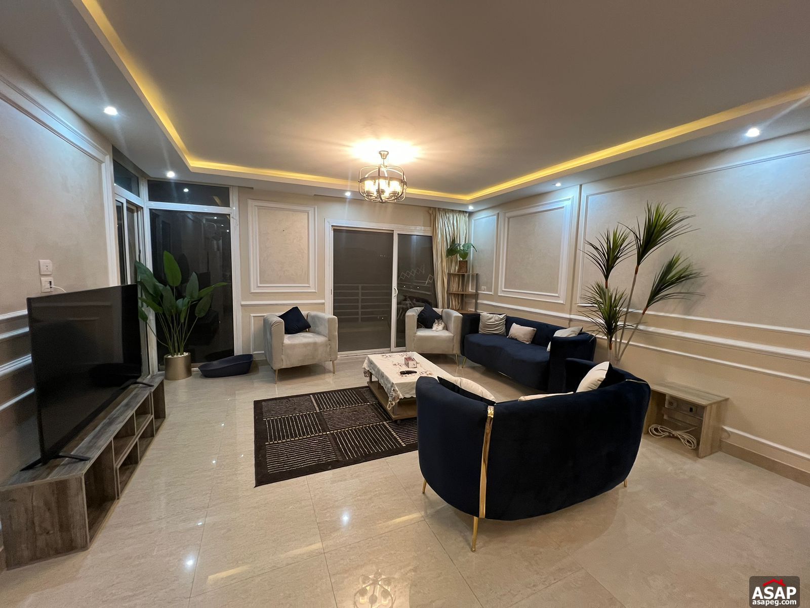 Furnished Apartment for Rent in Hyde Park Furnished Apartment for Rent in Hyde Park