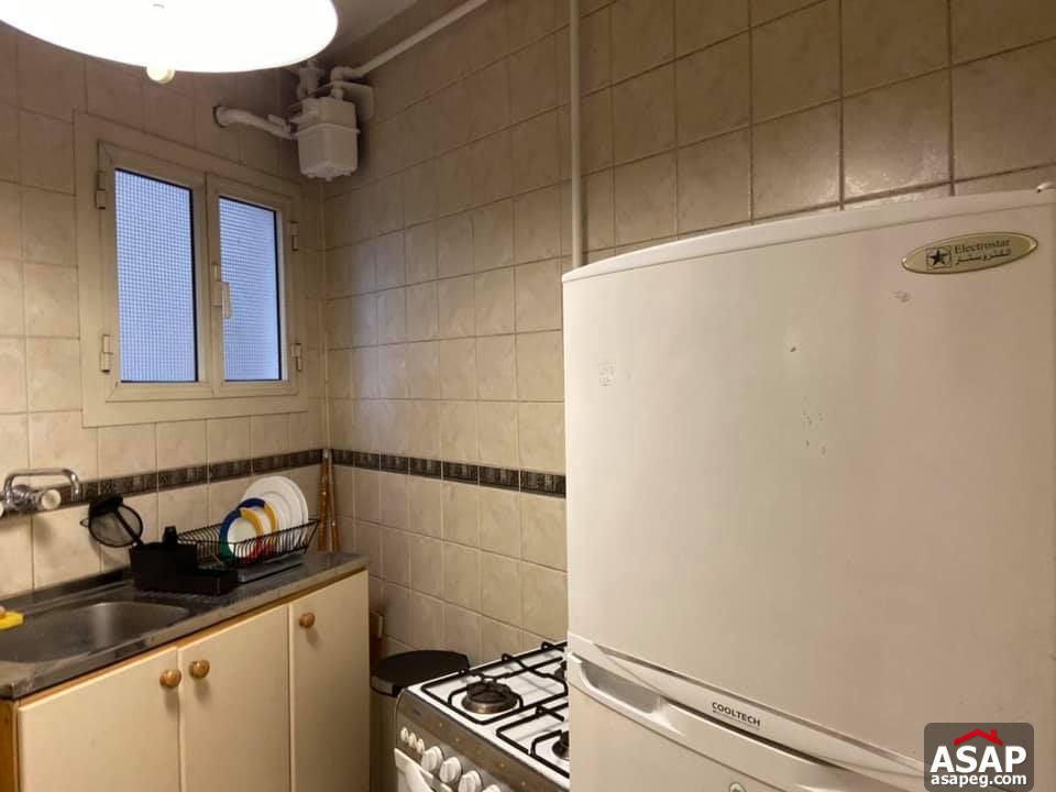 Apartment for Rent in Zamalek Apartment for Rent in Zamalek