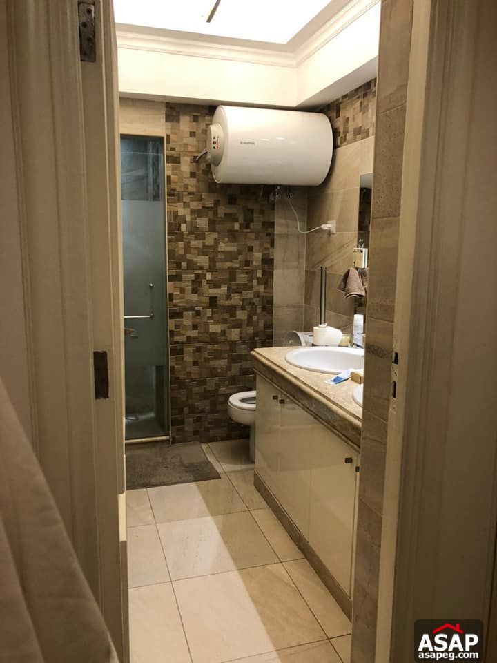 Apartment for Rent in Zamalek Apartment for Rent in Zamalek