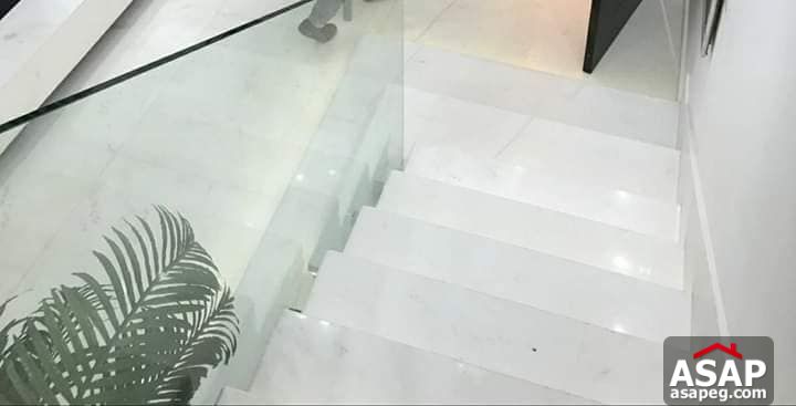 Furnished Duplex with Garden for Rent in Eastown Furnished Duplex with Garden for Rent in Eastown