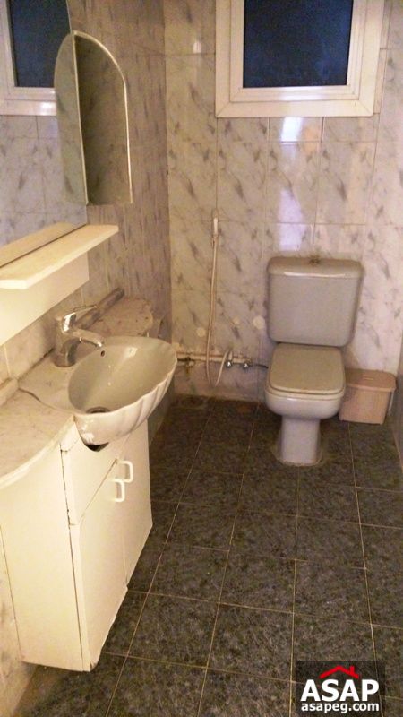 Furnished Apartment for Rent in Zamalek Furnished Apartment for Rent in Zamalek