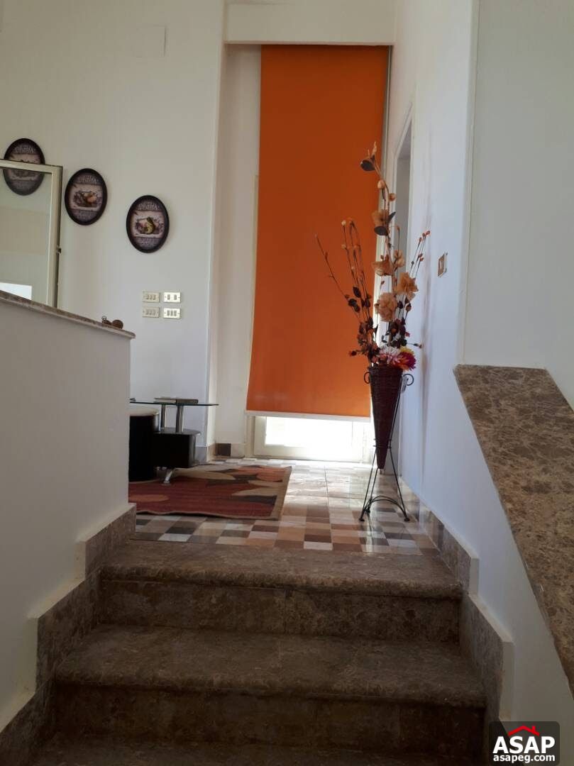 Senior Chalet in North Coast , Hacienda Bay Senior Chalet in North Coast , Hacienda Bay