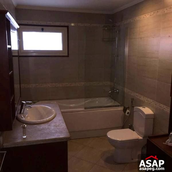 Apartment with Big Terrace for Rent in Zamalek Apartment with Big Terrace for Rent in Zamalek