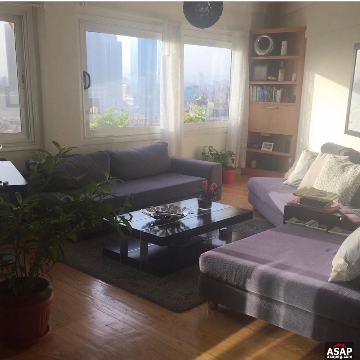 Furnished Studio for Rent in Zamalek Furnished Studio for Rent in Zamalek