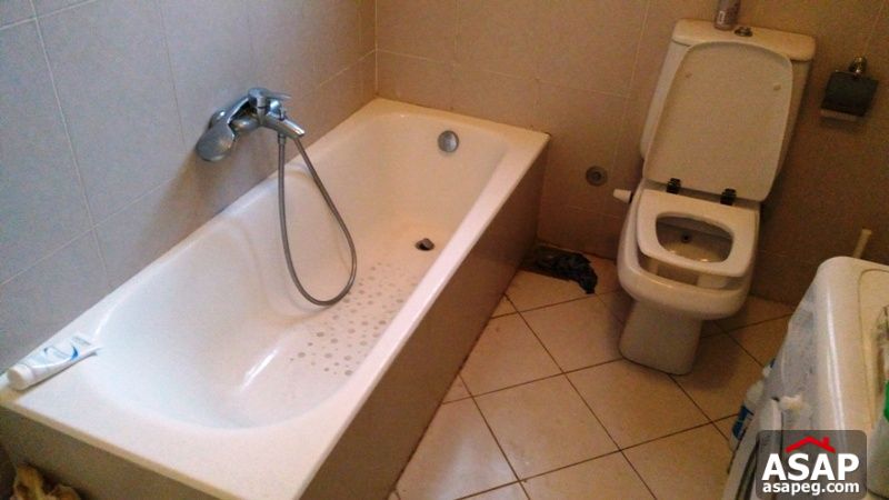 Apartment for Rent in Zamalek