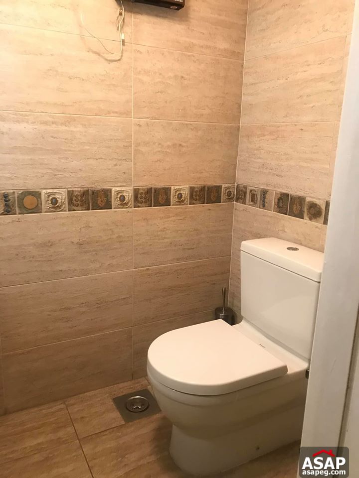 Flat for Rent in Zamalek Flat for Rent in Zamalek