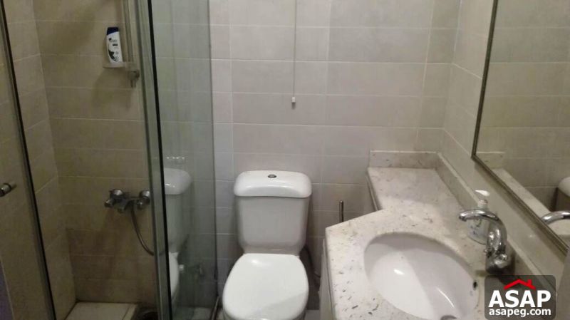 Furnished Apartment with Balcony for Rent in Maadi