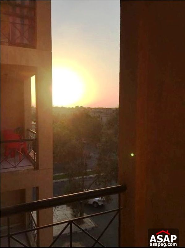 Apartment for Rent in Rehab City