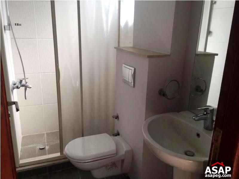 Furnished Apartment with Terrace for Rent in Zamalek Furnished Apartment with Terrace for Rent in Zamalek