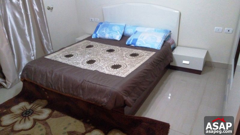 Furnished Apartment with Balcony for Rent in Dokki Furnished Apartment with Balcony for Rent in Dokki