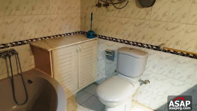 Furnished Apartment in Maadi Degla