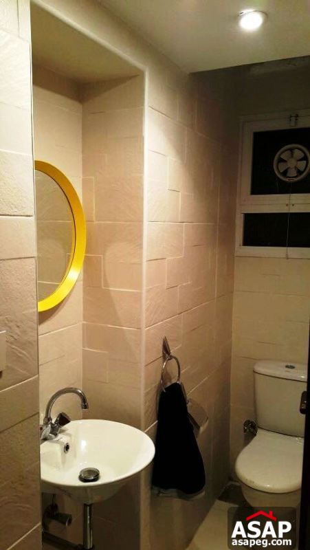 Furnished Apartment with Big Terrace in Zamalek Furnished Apartment with Big Terrace in Zamalek