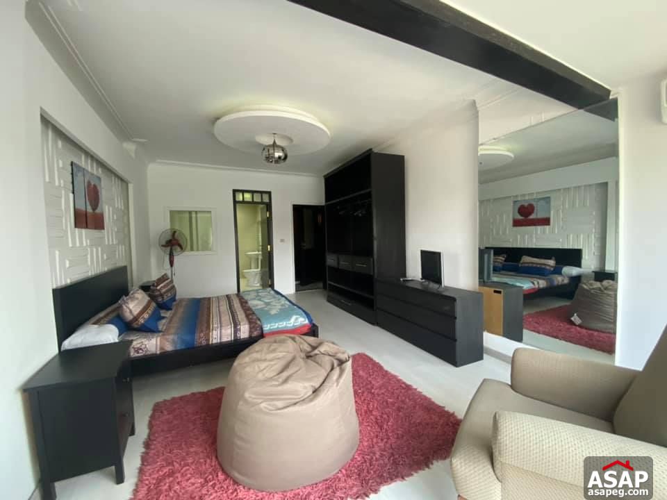 Apartment with Nile View for Rent in Zamalek Apartment with Nile View for Rent in Zamalek