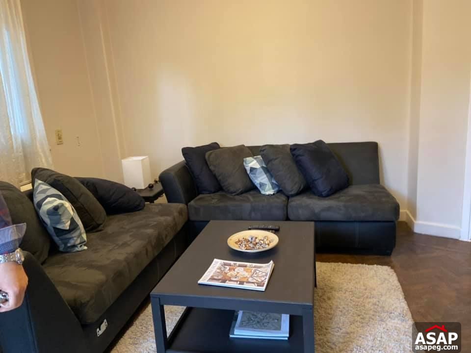Apartment for Rent in Zamalek Apartment for Rent in Zamalek