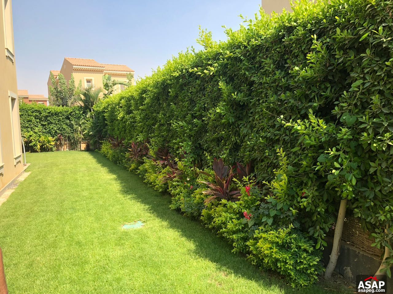 Stand Alone with Big Garden for Rent in Mivida Stand Alone with Big Garden for Rent in Mivida