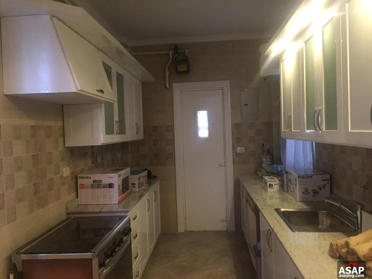 Flat with Nile View in Zamalek