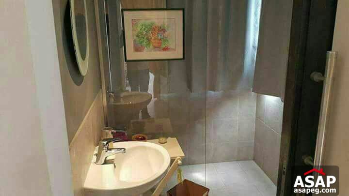 Roof with Swimming Pool for Rent in Maadi Roof with Swimming Pool for Rent in Maadi