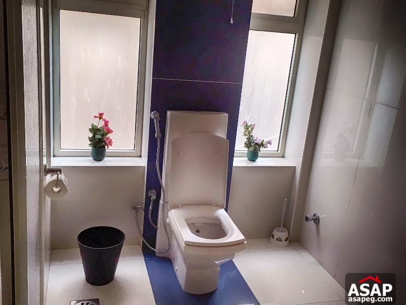 Apartment for rent in Maadi Apartment for rent in Maadi