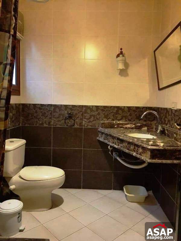 Furnished Apartment for Rent in Maadi Degla