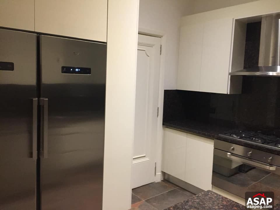 Apartment for Rent in Zamalek Apartment for Rent in Zamalek