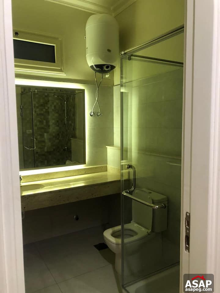 Apartment for Rent in Zamalek Apartment for Rent in Zamalek