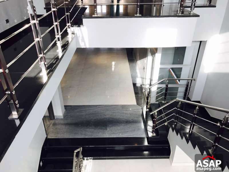 Villa with Pool for Rent in Cairo Festival City Villa with Pool for Rent in Cairo Festival City