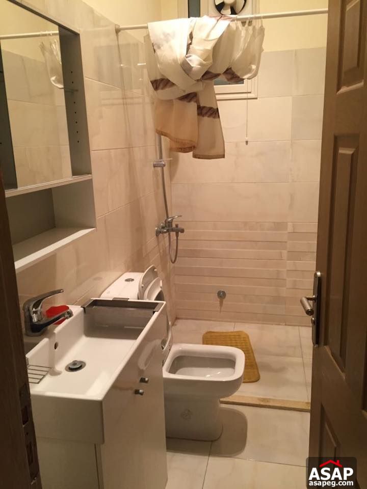 Apartment for rent in zamalek Apartment for rent in zamalek