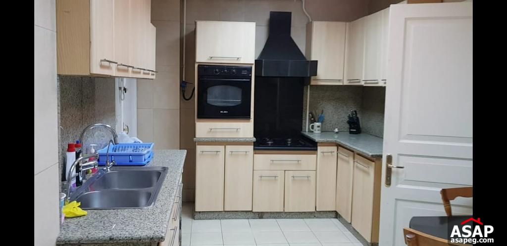 Apartment for Rent in Zamalek Apartment for Rent in Zamalek