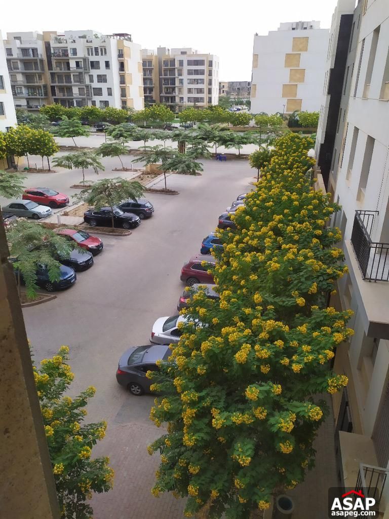 Furnished Apartment for Rent in Eastown Sodic Furnished Apartment for Rent in Eastown Sodic