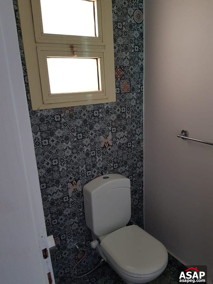 Apartment for Rent in Zamalek Apartment for Rent in Zamalek