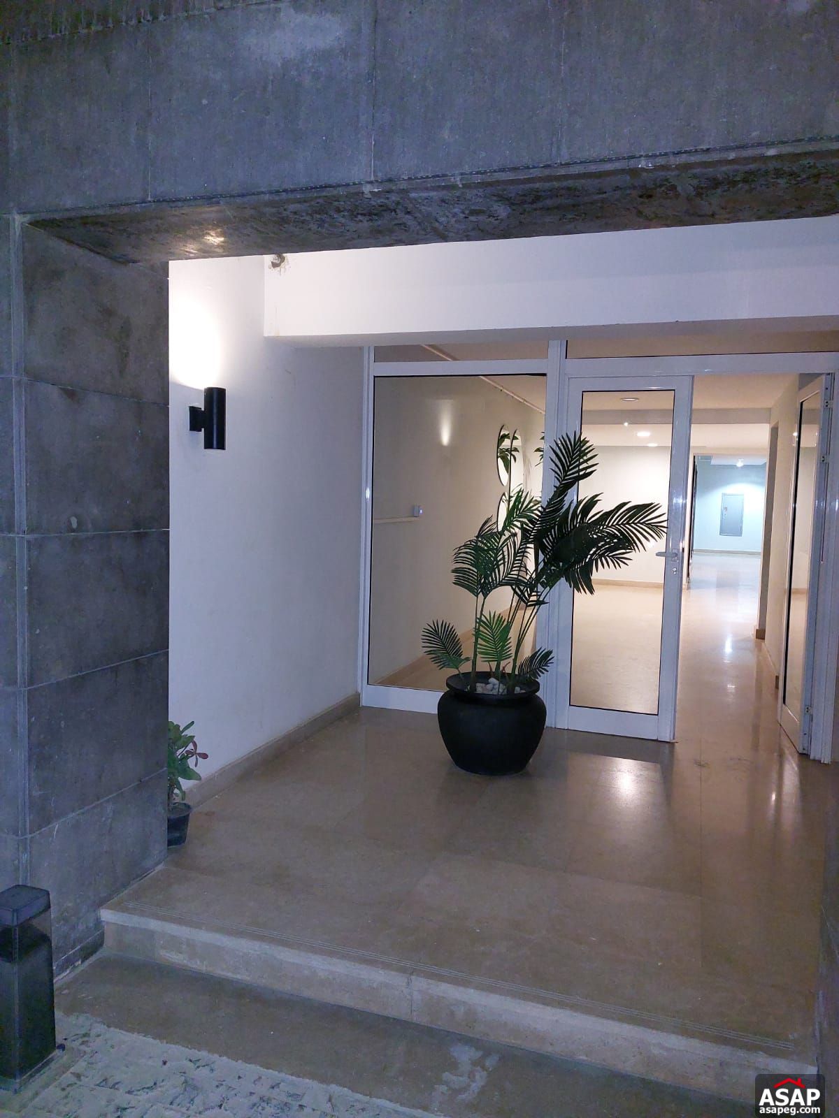 Apartment for Rent in Hyde Park