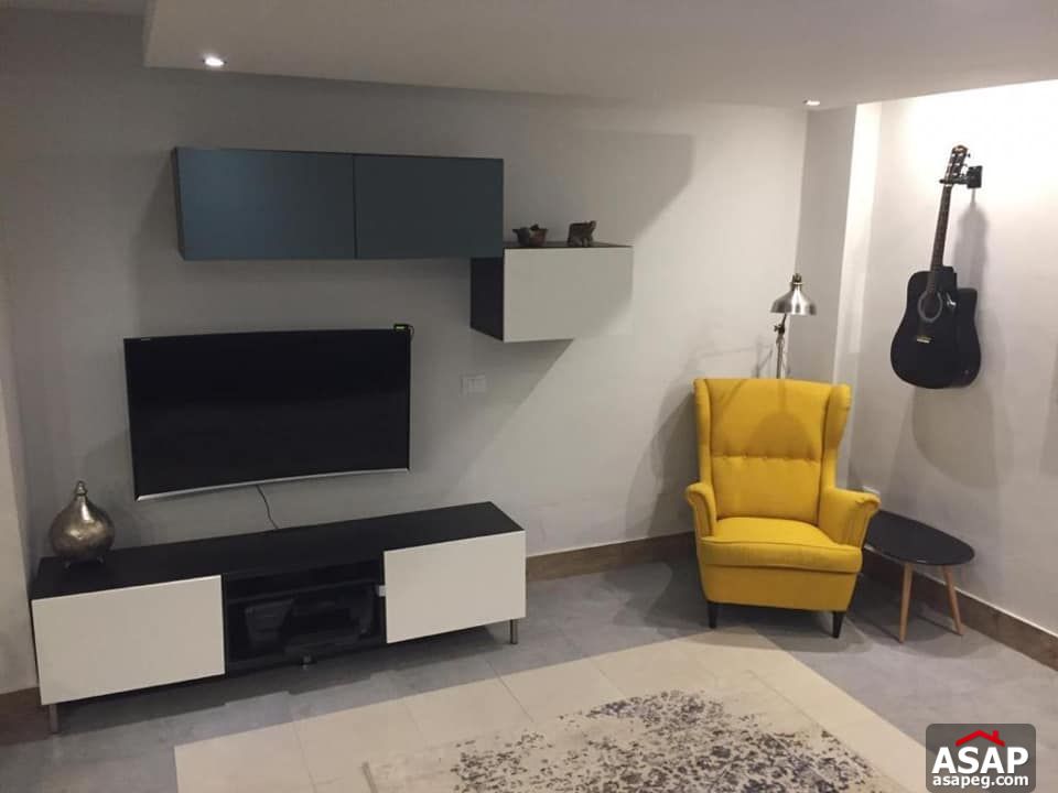 Furnished Flat for Rent in Zamalek Furnished Flat for Rent in Zamalek