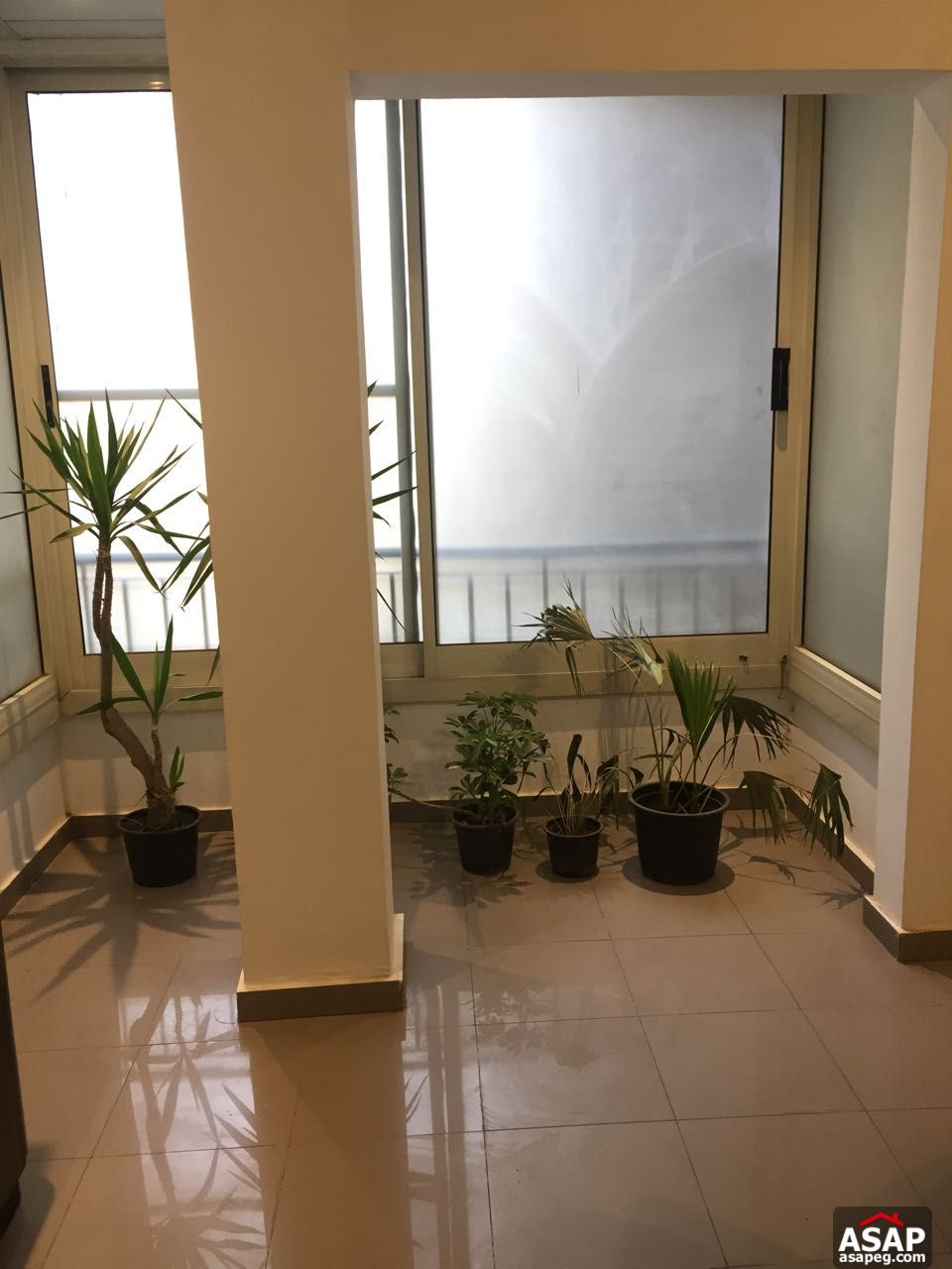 Furnished Apartment for Rent in Mohandiseen Furnished Apartment for Rent in Mohandiseen