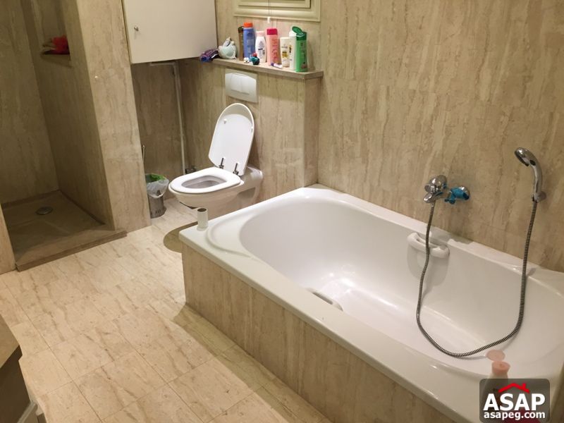 Apartment with Nile View for Sale in Zamalek Apartment with Nile View for Sale in Zamalek