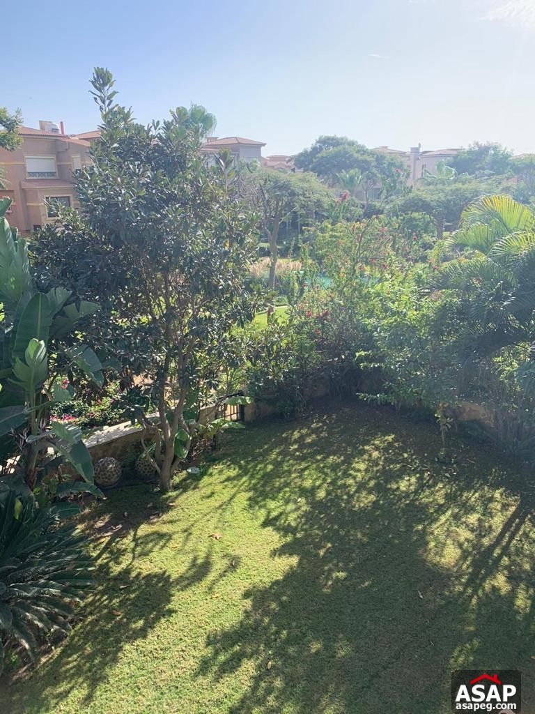 Stand Alone with Big Garden for Rent in Lake View Compound Stand Alone with Big Garden for Rent in Lake View Compound