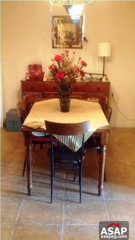 Apartment for Rent in Zamalek Apartment for Rent in Zamalek