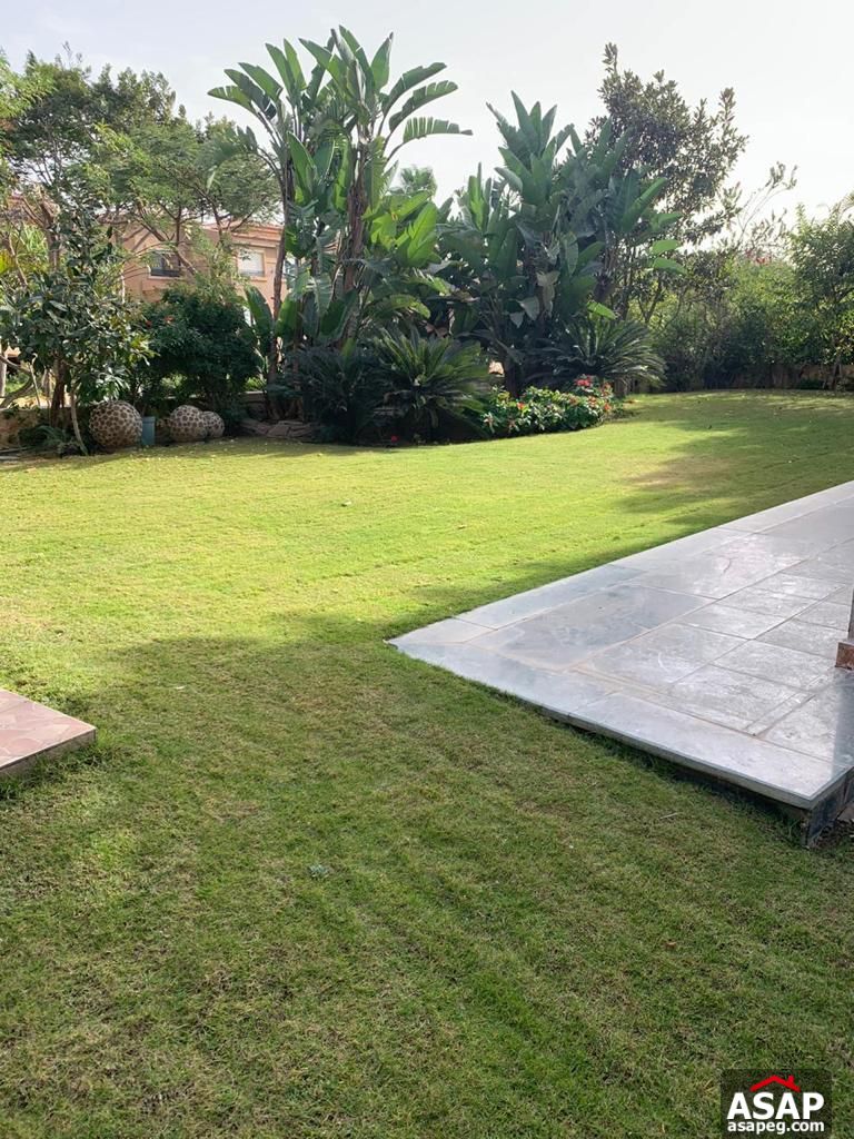 Stand Alone with Big Garden for Rent in Lake View Compound Stand Alone with Big Garden for Rent in Lake View Compound
