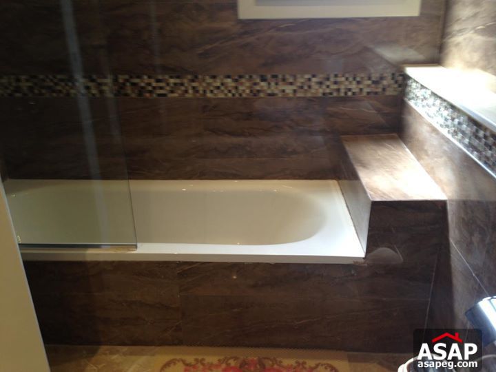 Apartment with Nile View for Rent in Zamalek Apartment with Nile View for Rent in Zamalek