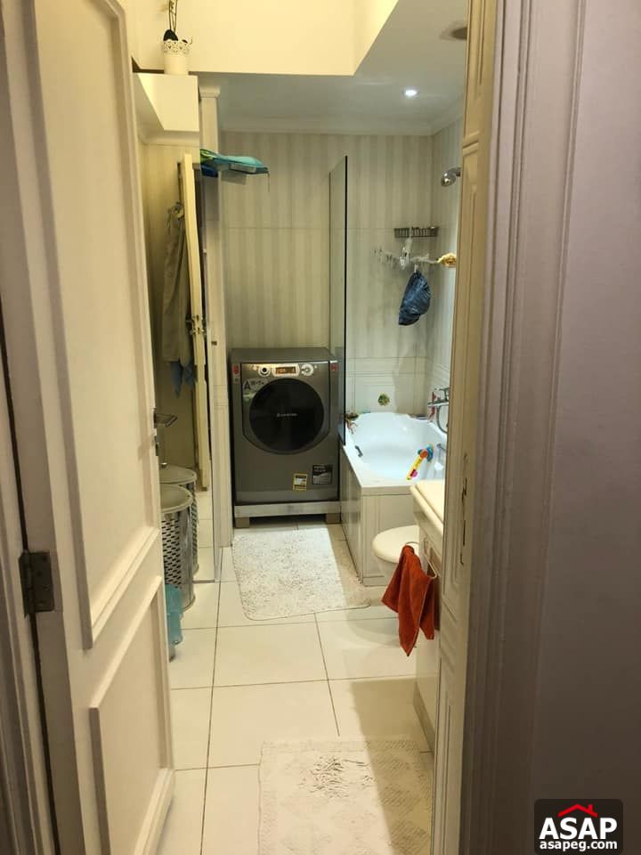 Apartment for Rent in Zamalek Apartment for Rent in Zamalek