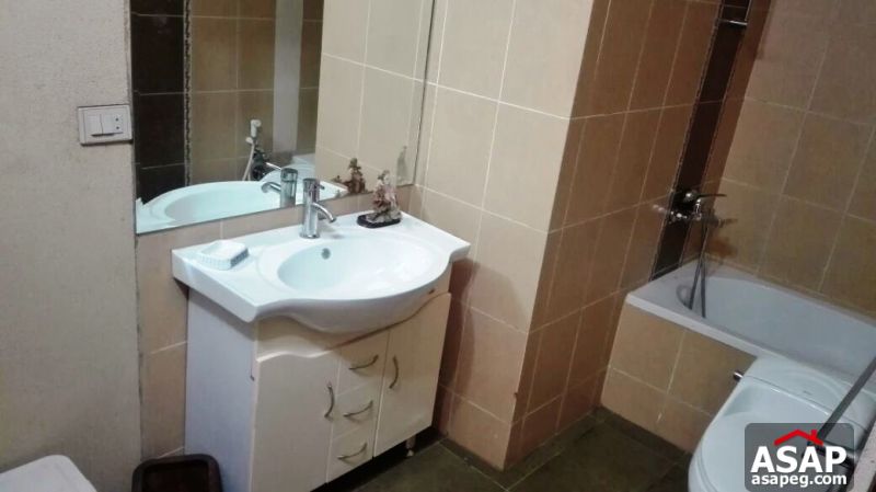 Furnished Apartment with Nile View in Maadi Furnished Apartment with Nile View in Maadi