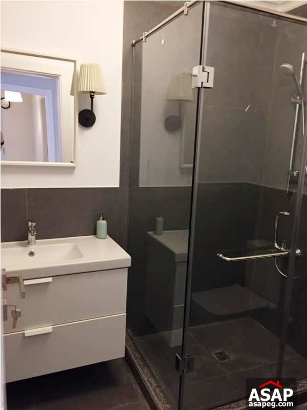 Nice Flat for Rent in Zamalek Nice Flat for Rent in Zamalek