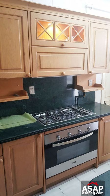 Furnished Apartment with Nile View for Rent in Maadi Furnished Apartment with Nile View for Rent in Maadi