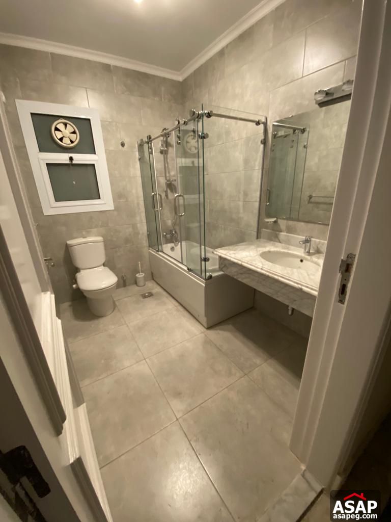 Apartment for Rent in Zamalek Apartment for Rent in Zamalek