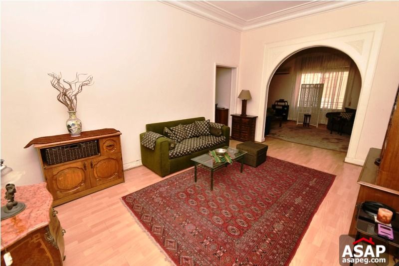 Apartment for Rent in Zamalek Apartment for Rent in Zamalek