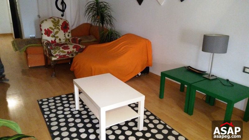 Nice Furnished Studio in Agouza Nice Furnished Studio in Agouza