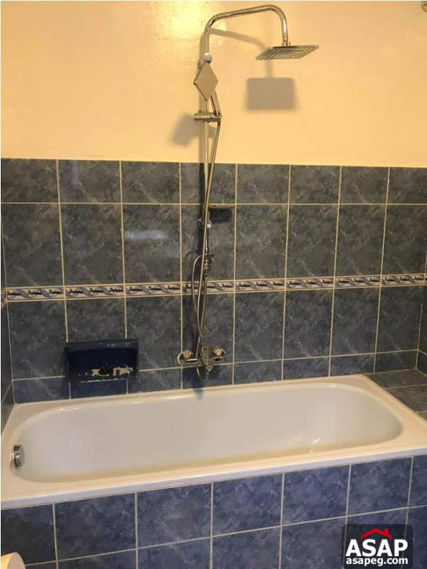 Apartment for Rent in Zamalek Apartment for Rent in Zamalek